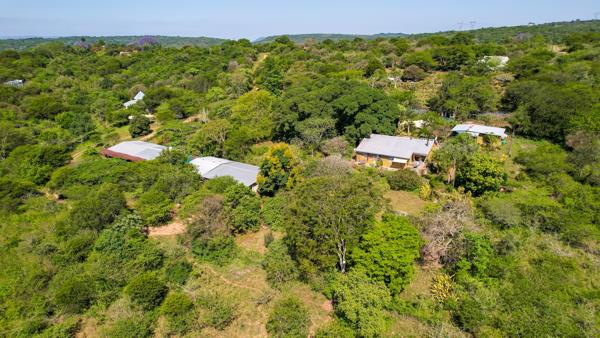 20.6 ha Smallholding