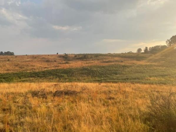 474 m² Land
