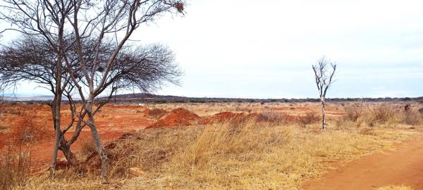 8.5 ha Land