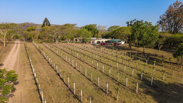 7.6 ha Farm