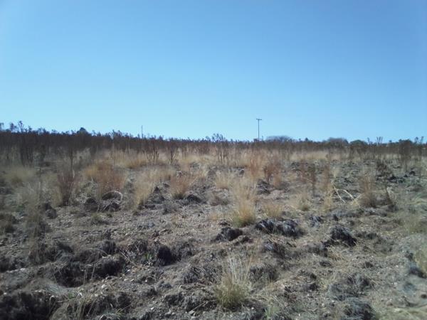 12 ha Land