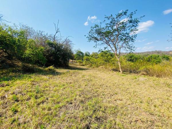 954 m² Land