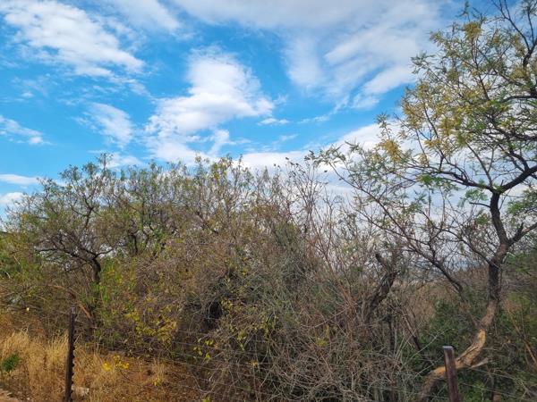 1 678 m² Land