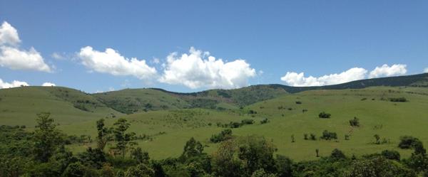 1 845 ha Farm
