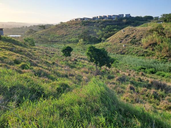 539 m² Land