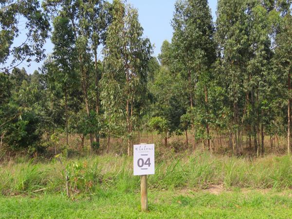 1 000 m² Land