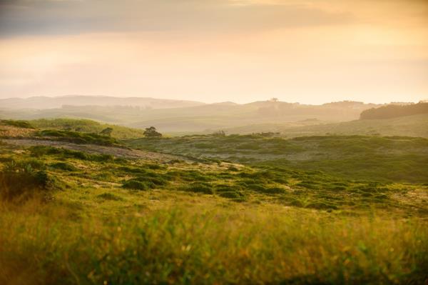 817 m² Land