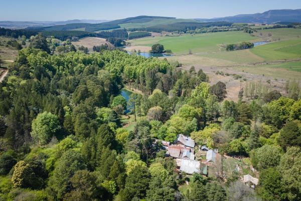 24 ha Commercial Farm