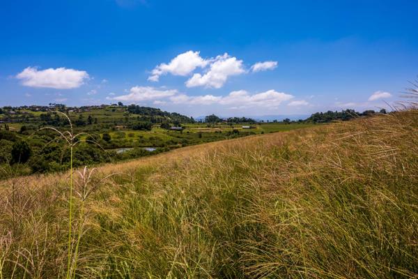 1 981 m² Land