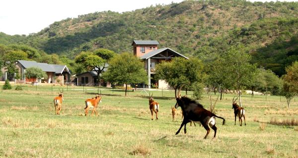 3 000 m² Hotel