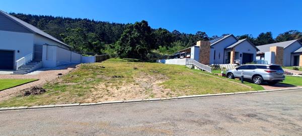 560 m² Land