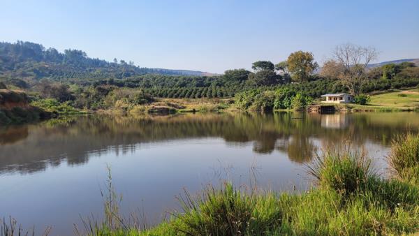 150 ha Farm