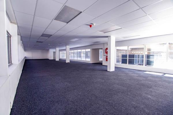 205  m² Office Space