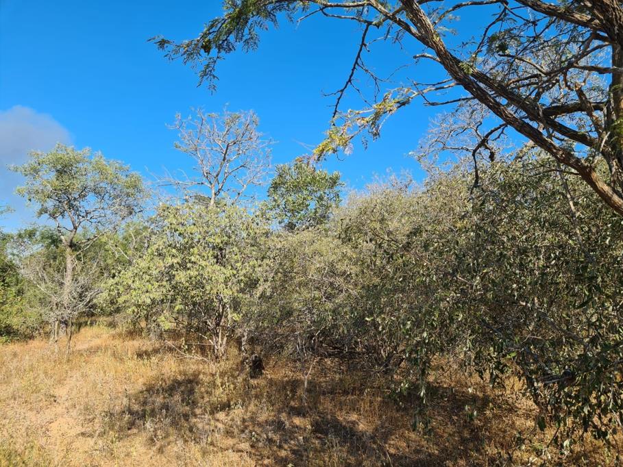 380 m² Land