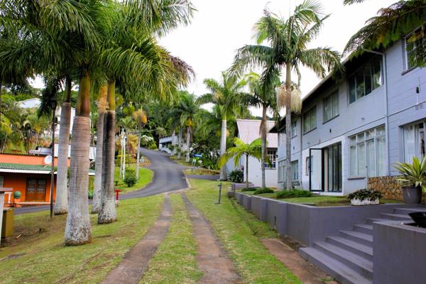 1.5 Bedroom Apartment