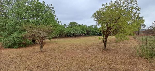 1 ha Land
