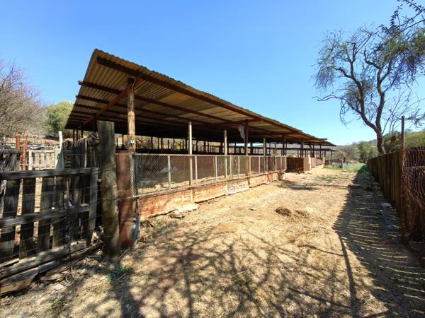 298 ha Farm