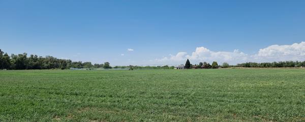 25 ha Smallholding