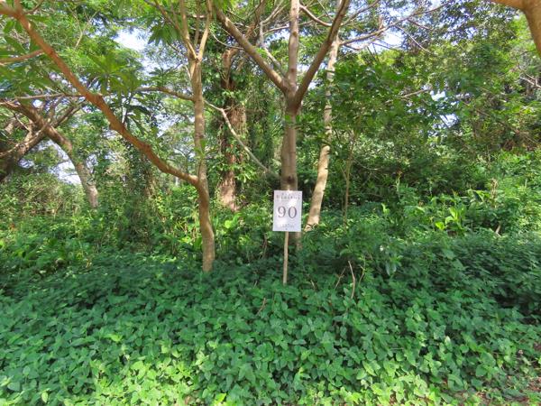 1 377 m² Land