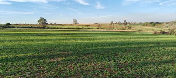 Farm
