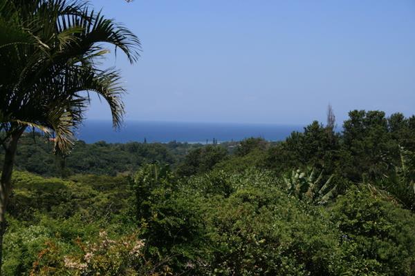 4.2 ha Land
