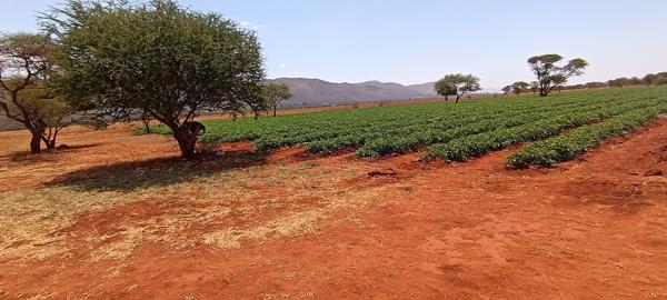 81.7 ha Farm