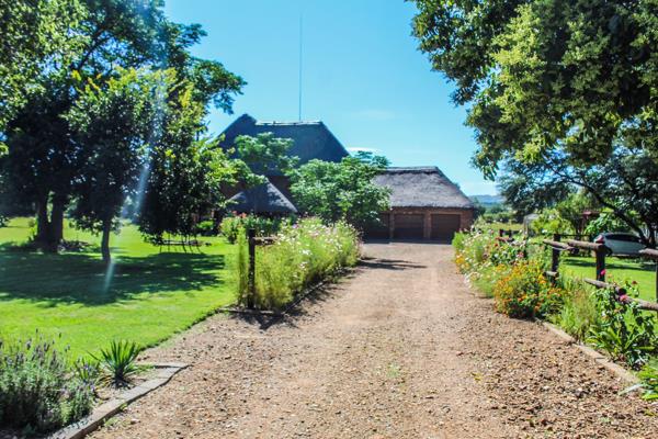 2.6 ha Agricultural Holding