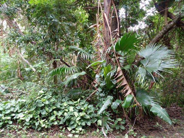 1 048 m² Land