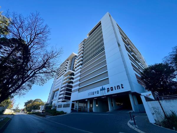 126  m² Office Space