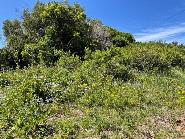 611 m² Land