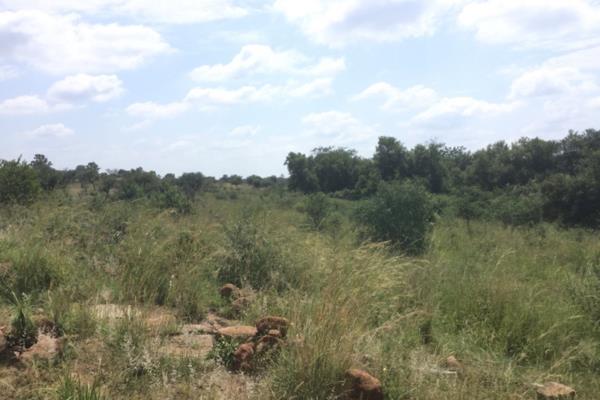 30 ha Commercial Farm