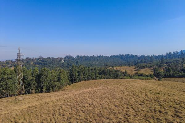 45 m² Land