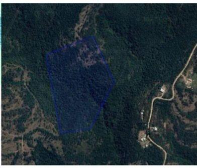 10.7 ha Farm