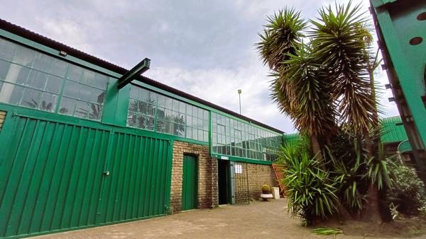130 m² Commercial space