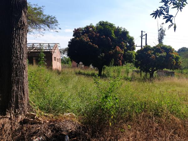 2 ha Land
