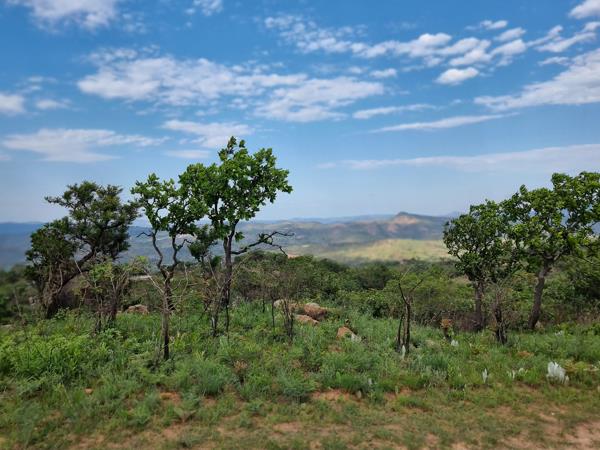 5.9 ha Land
