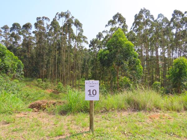 994 m² Land