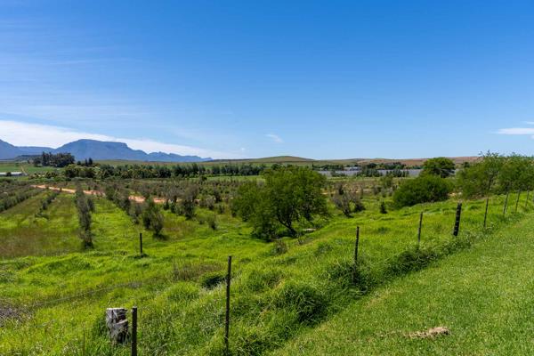 5 000 m² Land