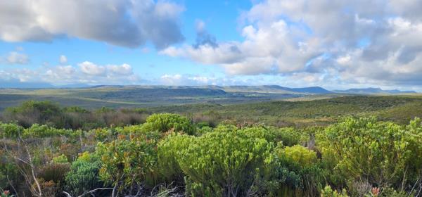 360 ha Farm