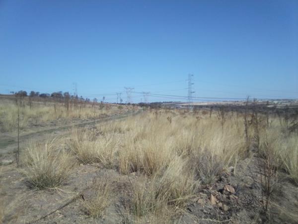 42 ha Land