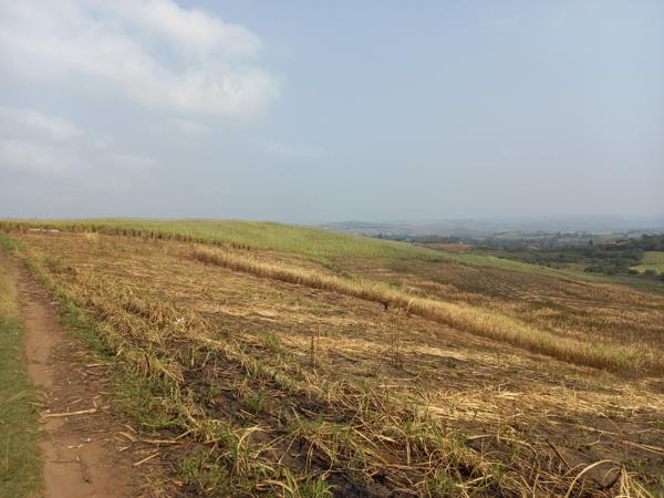 21 ha Farm