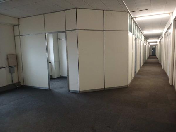 264 m² Office Space