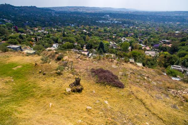 4 919 m² Land