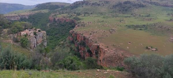 98 ha Land