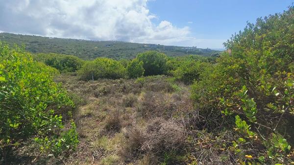 3 084 m² Land