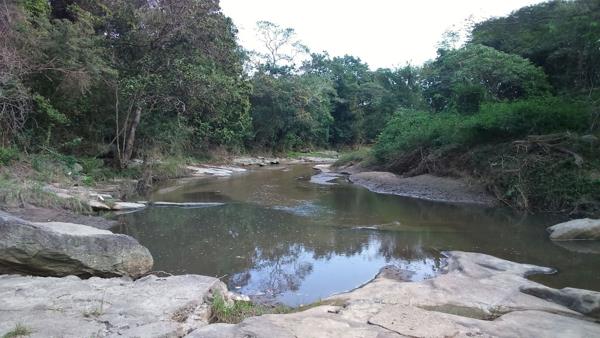 163 ha Farm