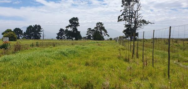 1.6 ha Farm