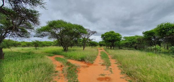 339 ha Farm