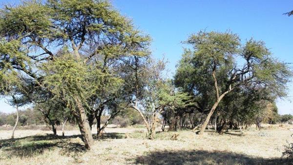 616 m² Land