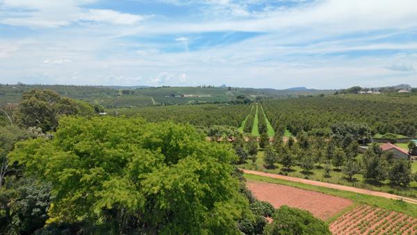 10 ha Farm